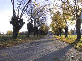 Via dei Gelsi a Bonavilla